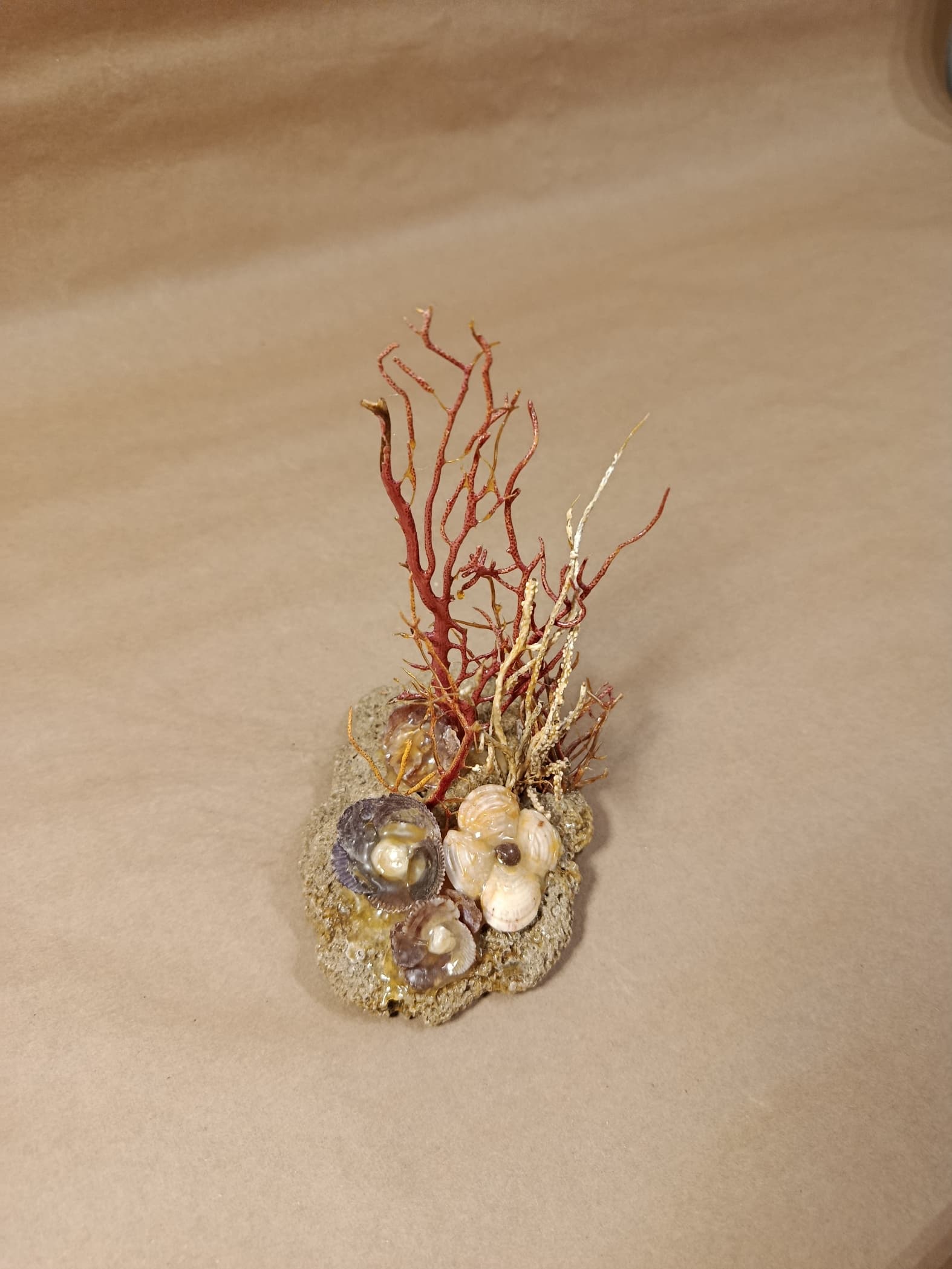 Mini coral do mar feito à mão com Conchas, coral decorativo, areia, base natural e acabamento artesanal