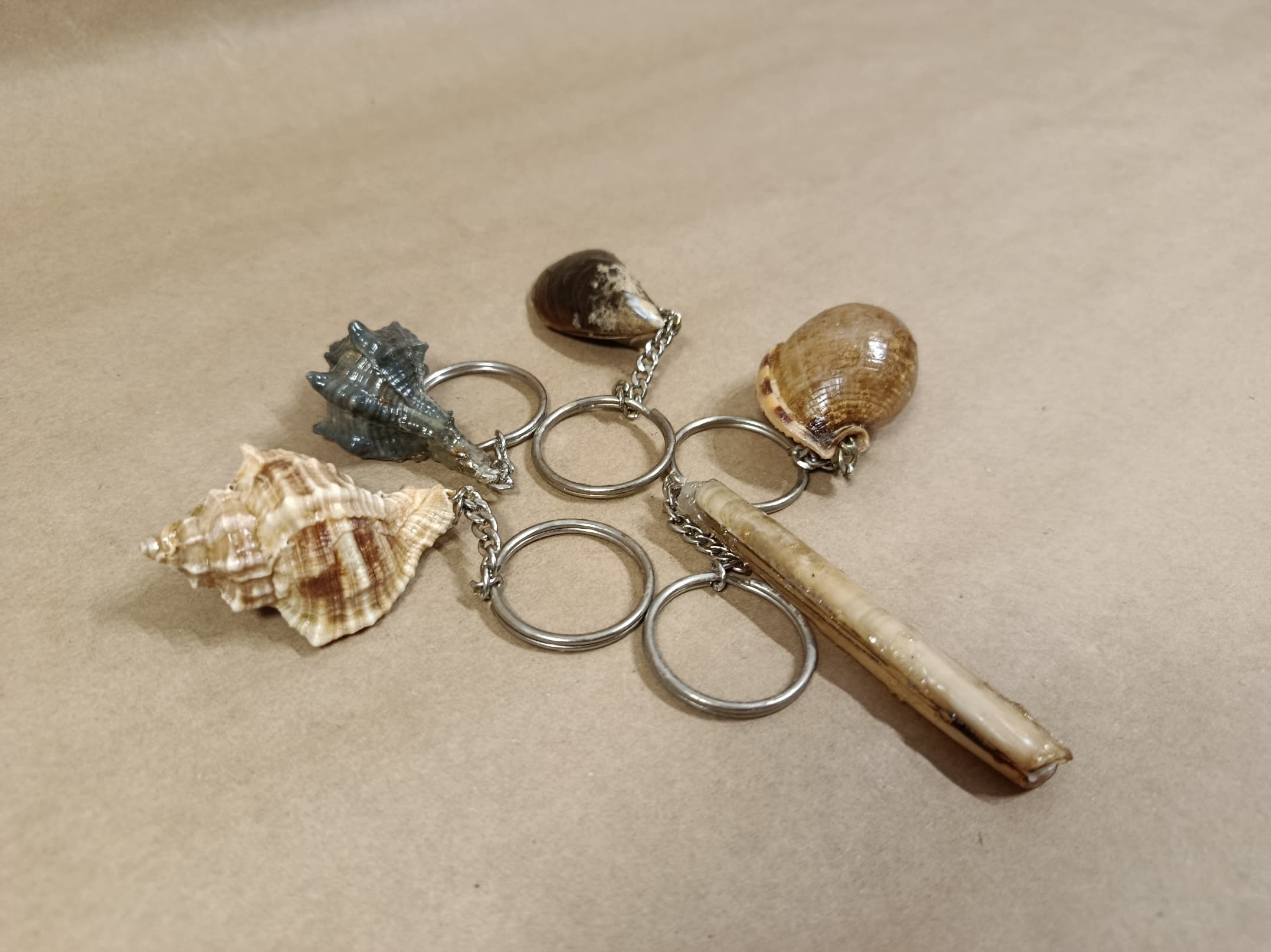 Porta-chaves do mar feito à mão com Conchas, búzios, argola metálica e acabamento artesanal