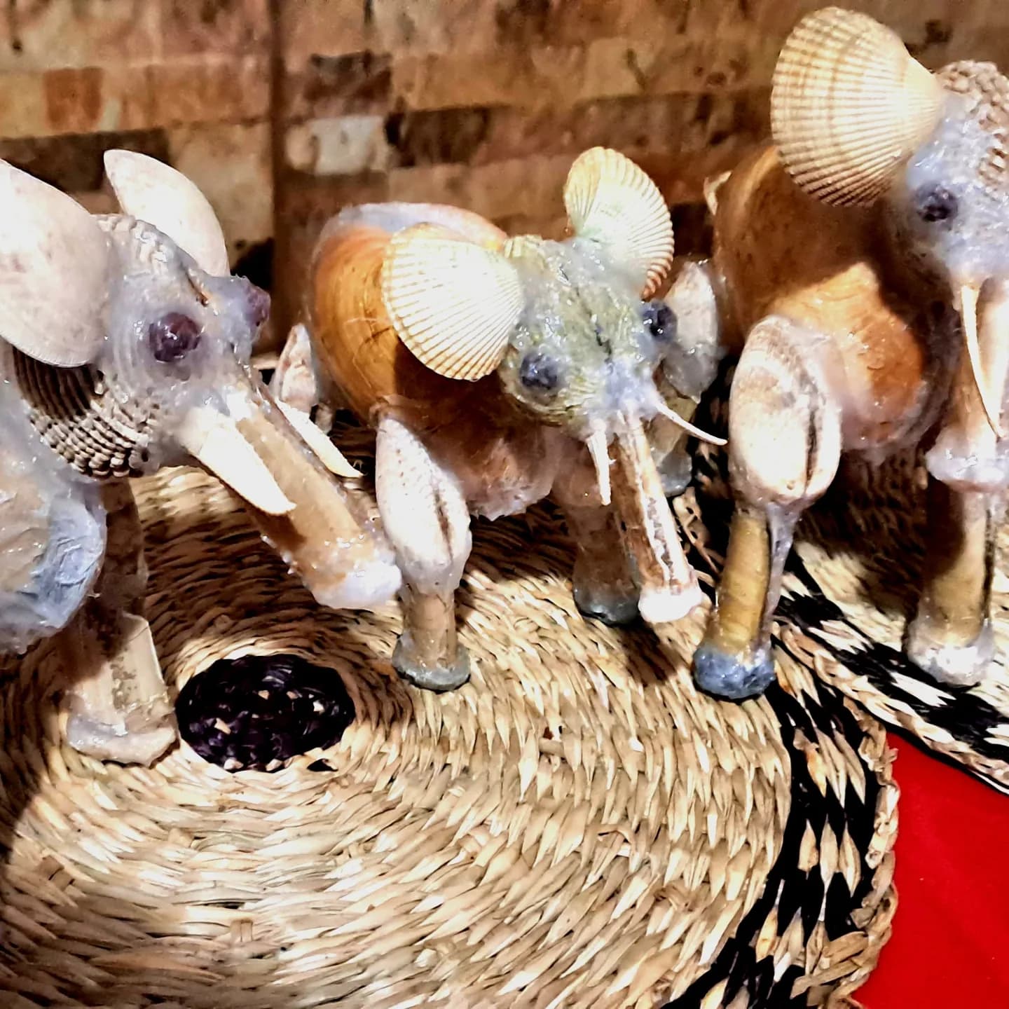 Elefante em conchas