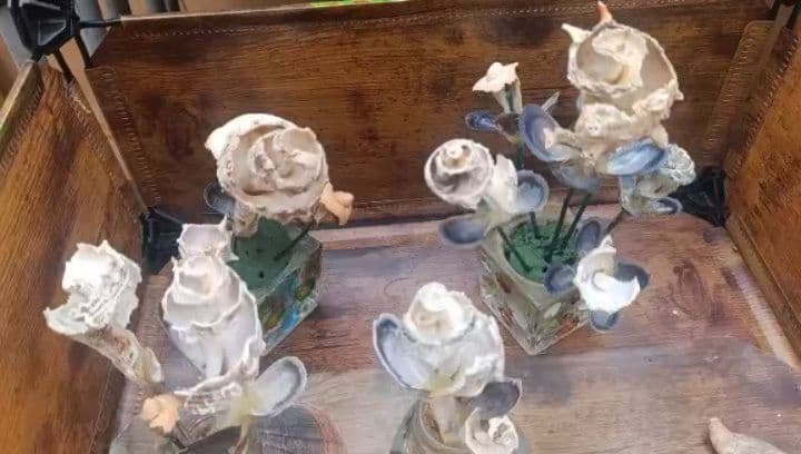 Flores e bouquets de conchas