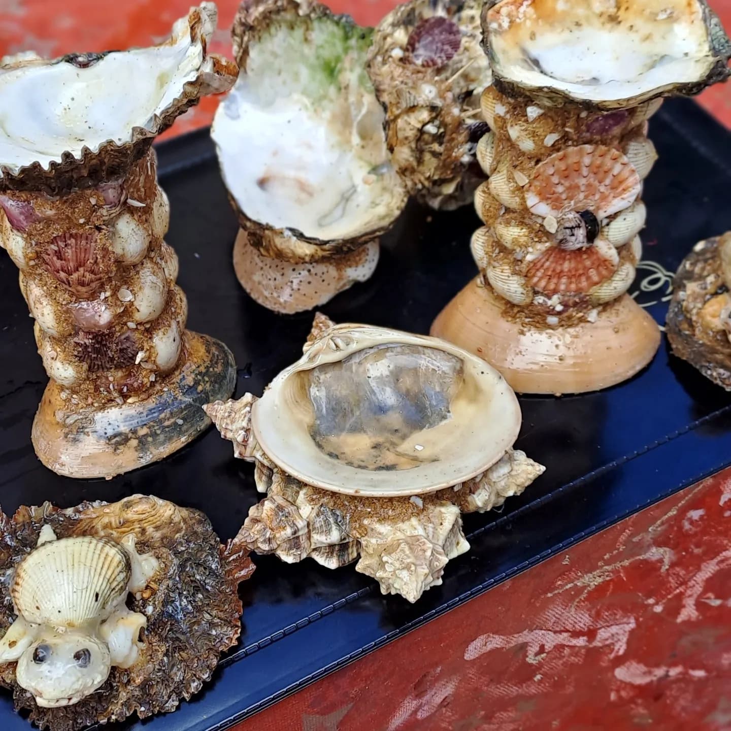 Cinzeiro de conchas e ostras